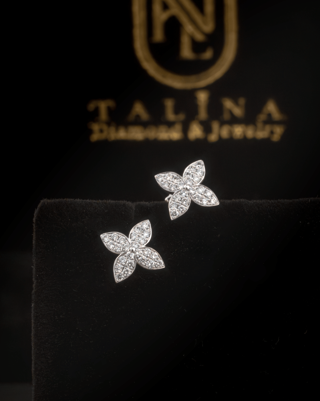 Luminous Diamond Earrings